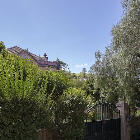 Casa Da Pendoa 아파트 *